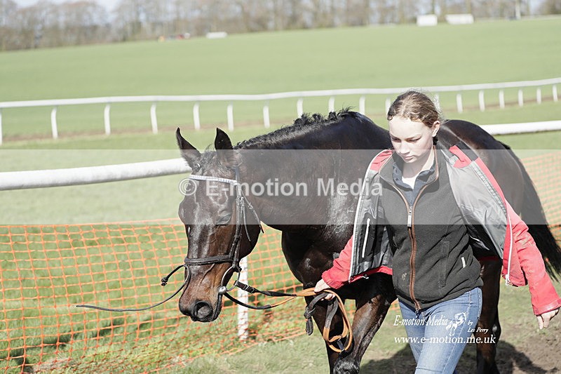 PtP 100423 942 - Old Berkshire Point-to-Point Lockinge 10/04/23