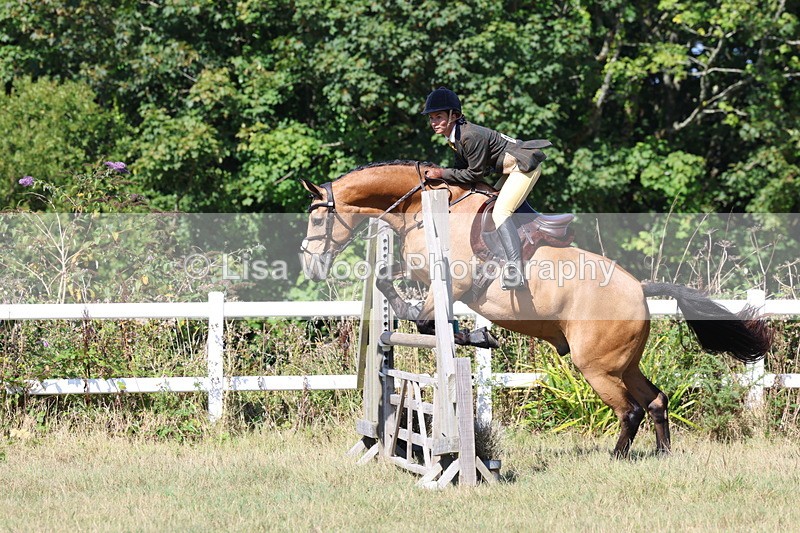 3E7A6251 - Class 6: Working Hunter 1m