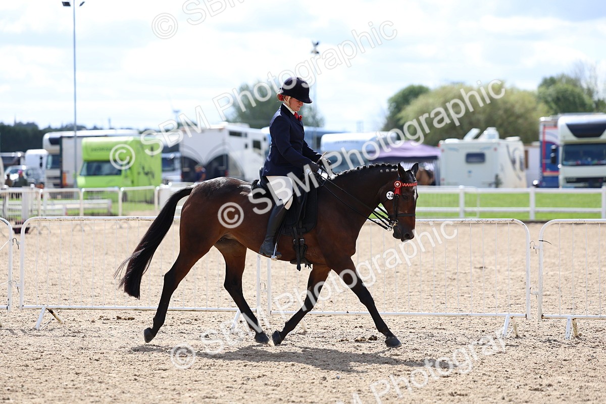 SBM_13264 - Class 311 - Ridden Show Pony Show Hunter Pony