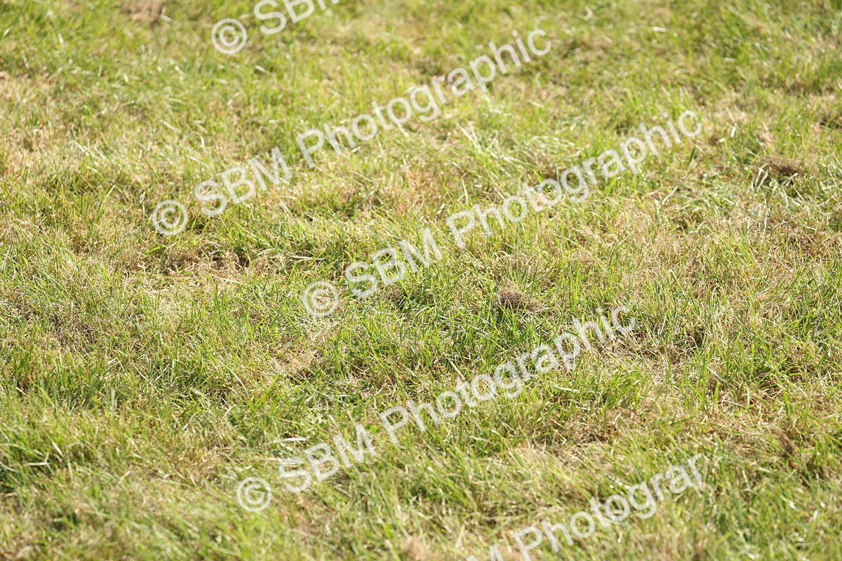 SBM_09626 - Class 33-38 - SSADL RIHS Qualifiers