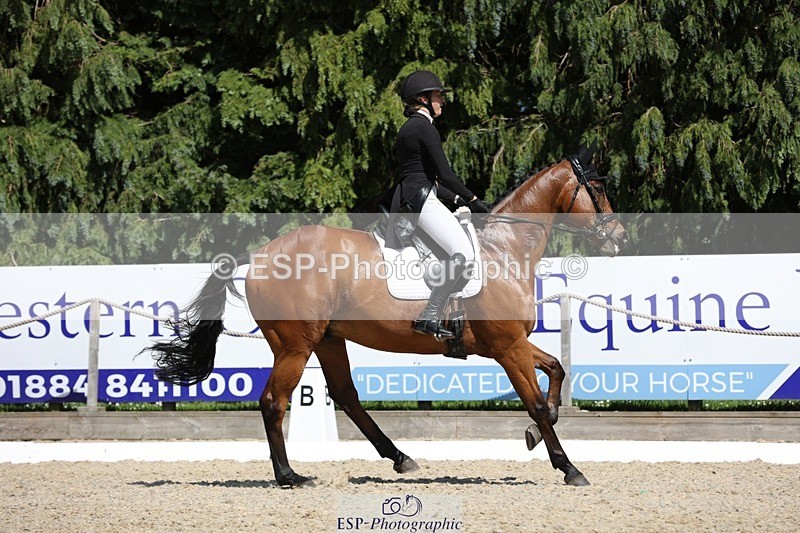 230526-150309-06614 - 377-GOLD_NUGGET-Jillian_Giessen-WEDTrotUp+DR