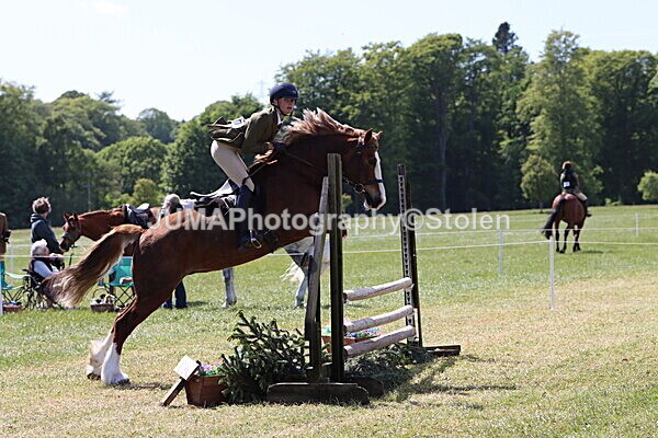 IMG_4332 - Working Hunter