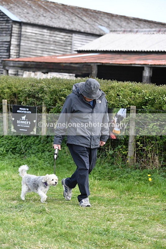 WJ5_0780 - Best in Show Championship