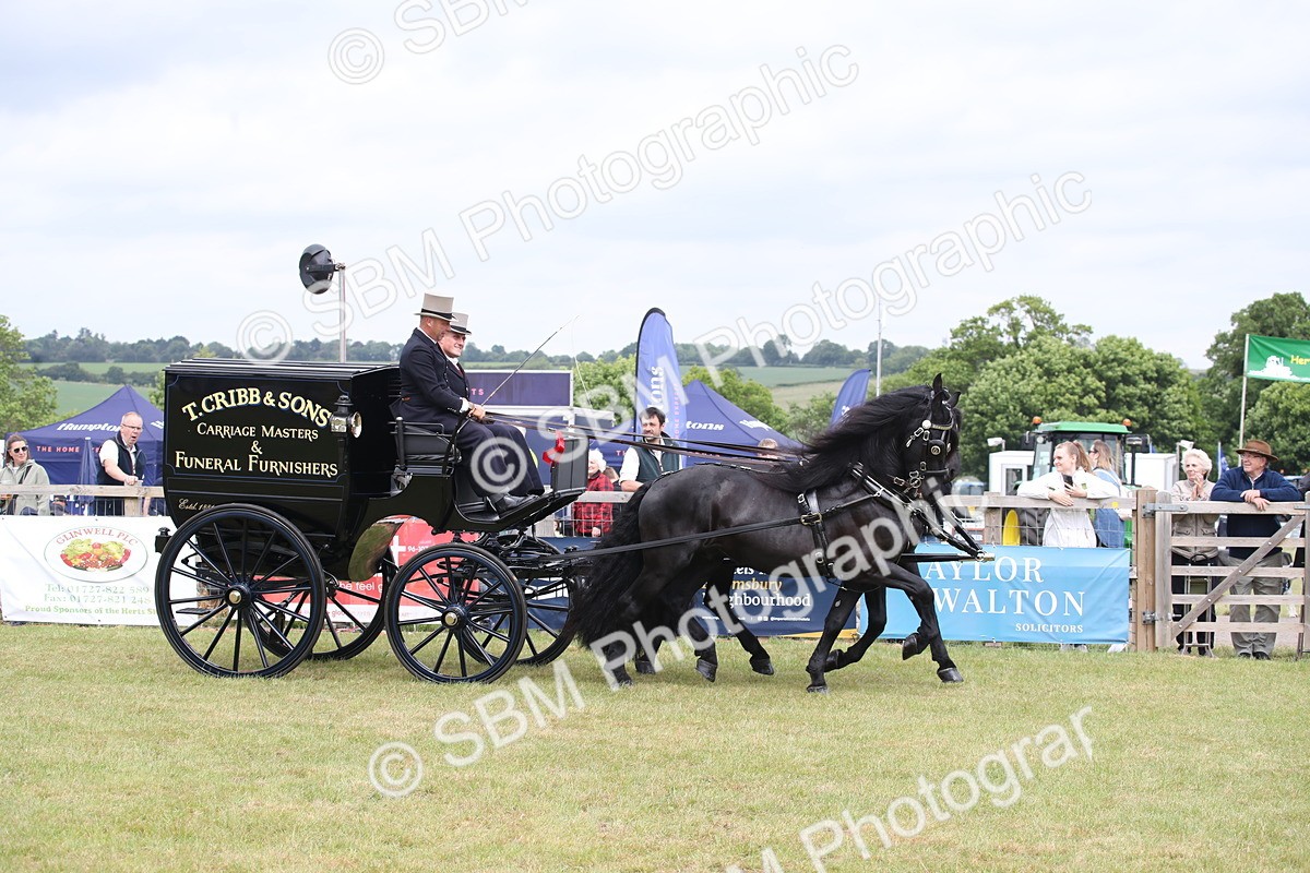 SBM_07068 - Class 16 - Light Trade