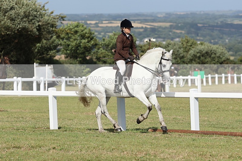 JPP_2912 - Class 20: Working Hunter 70cm