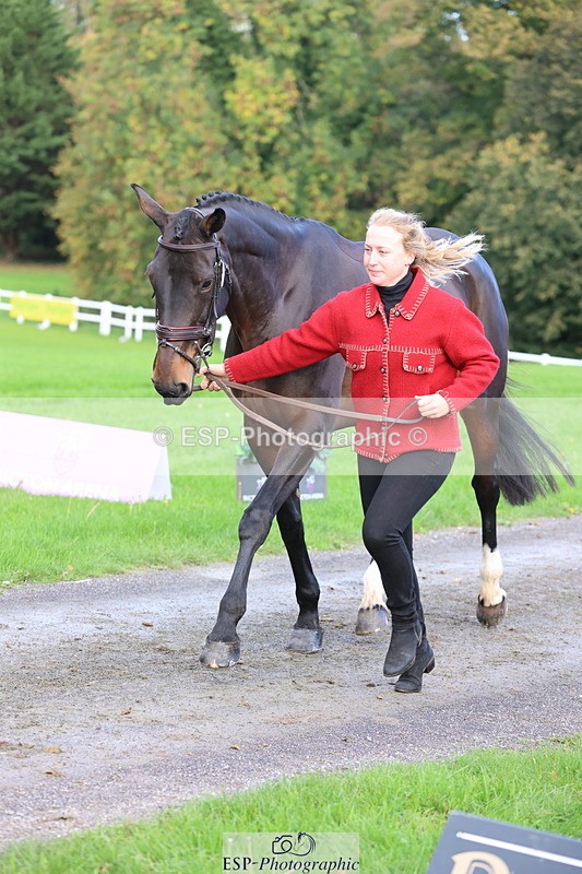 251026A-102520-22974 - E-383-Amy.Harris