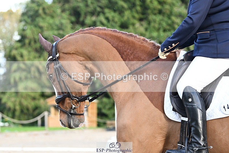 231110-142805-01943 - Cls 7 Medium 61