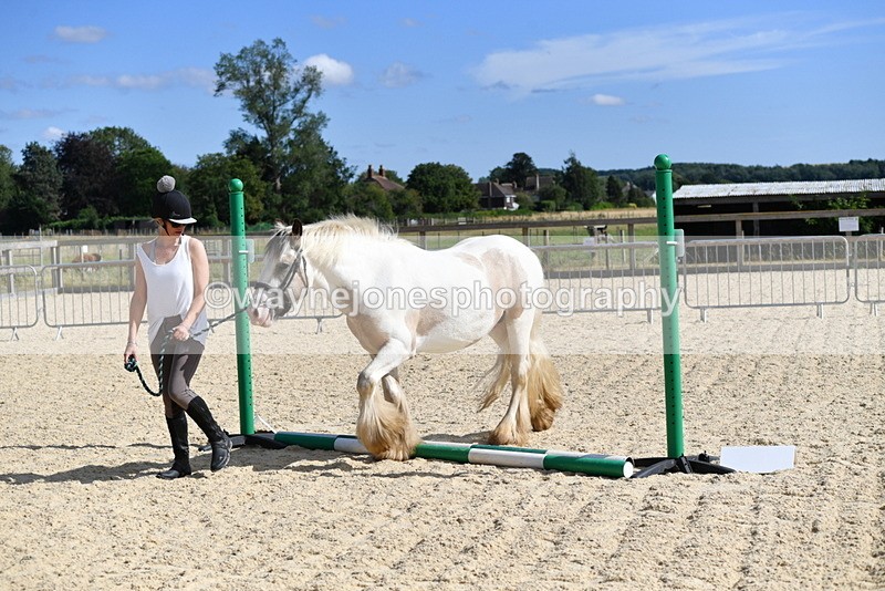 WJ5_5461 - Poles on the Floor