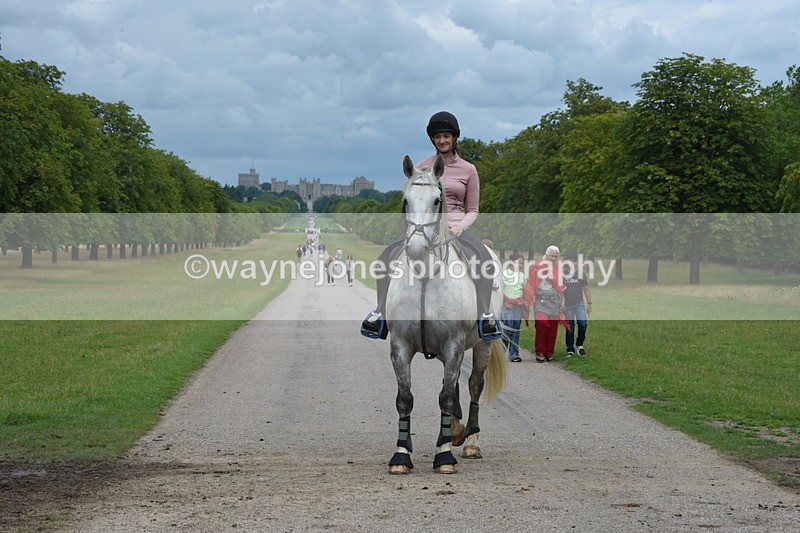 TT3_9789 - Time at Crossing 11:28 to 13:16