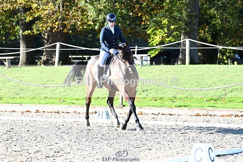 231110-105237-00231 - Cls 2 Prelim 17(a)Q