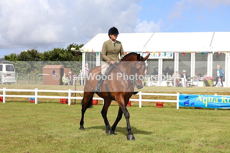 3E7A9391 - Class 4: Rising Star M/H Hunter