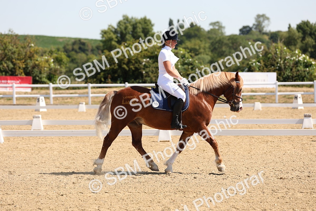 SBM_001079 - Intro 2