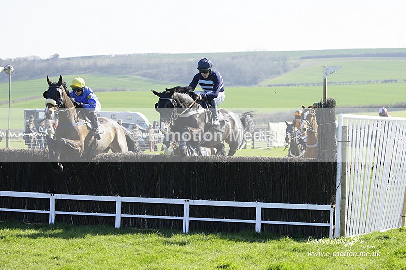 PtP 190322 487 - Wilton Hunt PtP Milborne St Andrew 19/03/22