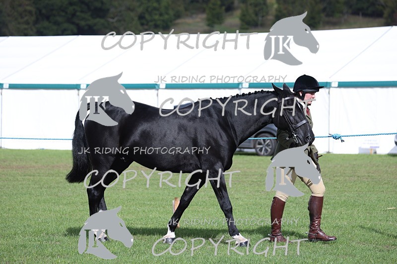 APP_2564 - Class 9 Veterans in hand