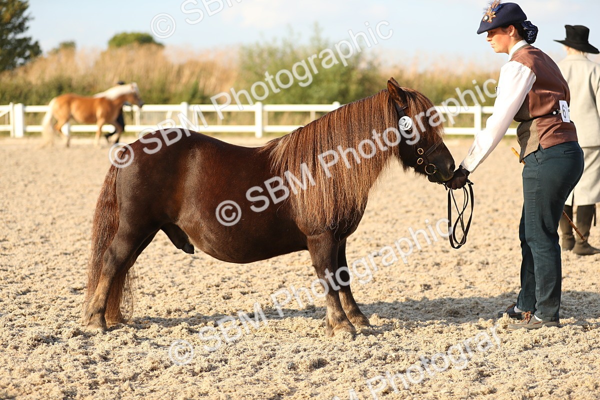 SBM_09050 - Class 29 IH Veteran Pony