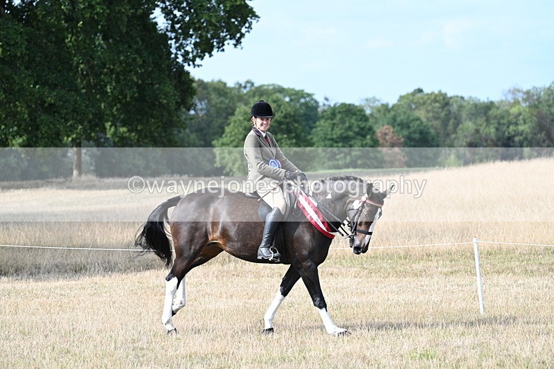 WJ7_7869 - Ridden Championship