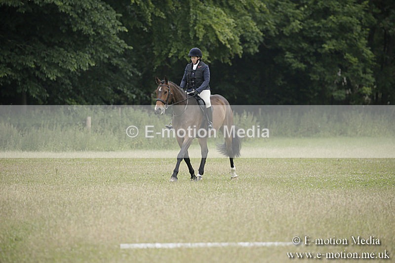 B230619-0012 - Bourne Valley Riding Club Summer Show 23/06/19