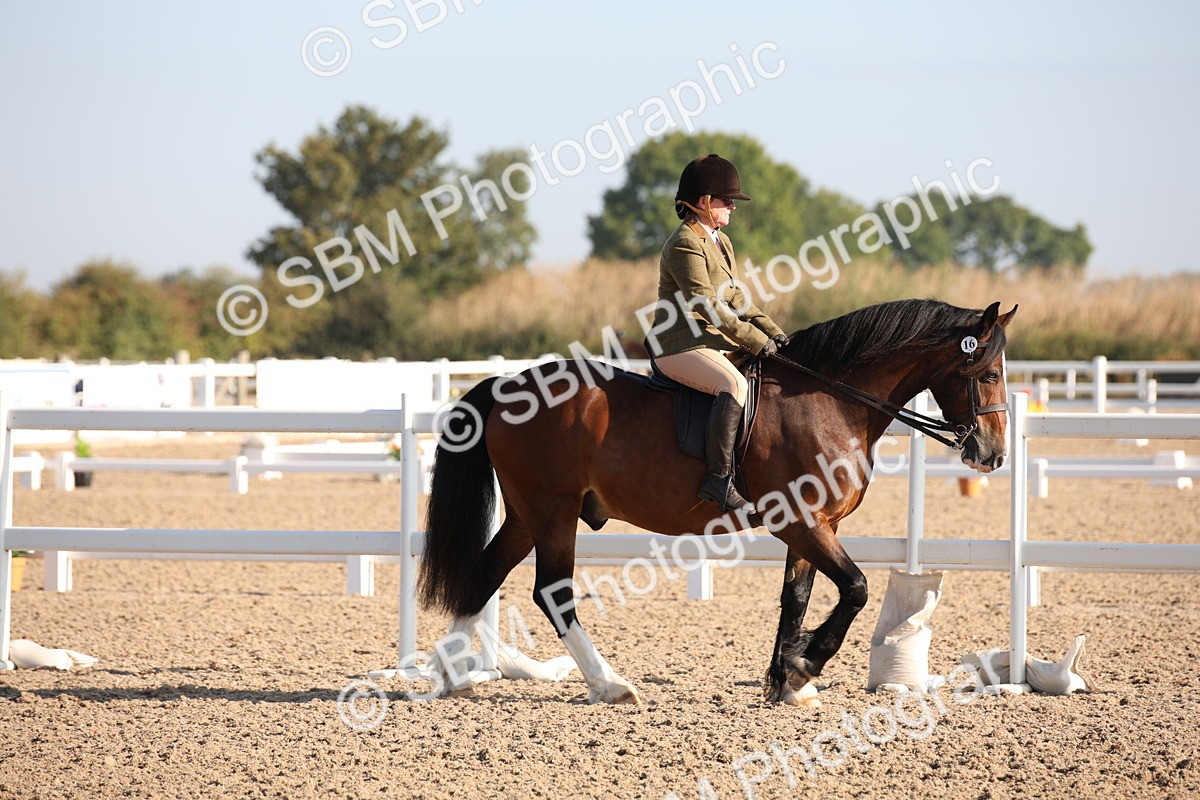 SBM_00601 - Class 14 Ridden M&M Wildcard