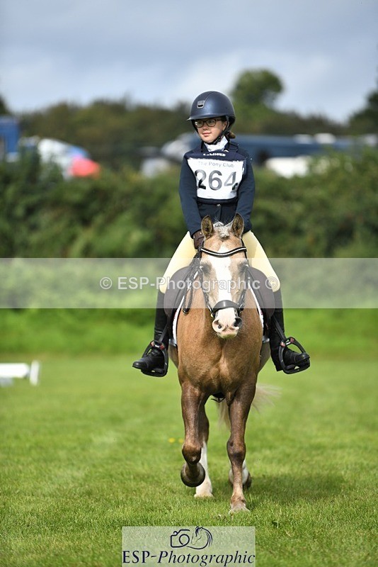 230826-102229-15454 - Sections C & D 10 to End