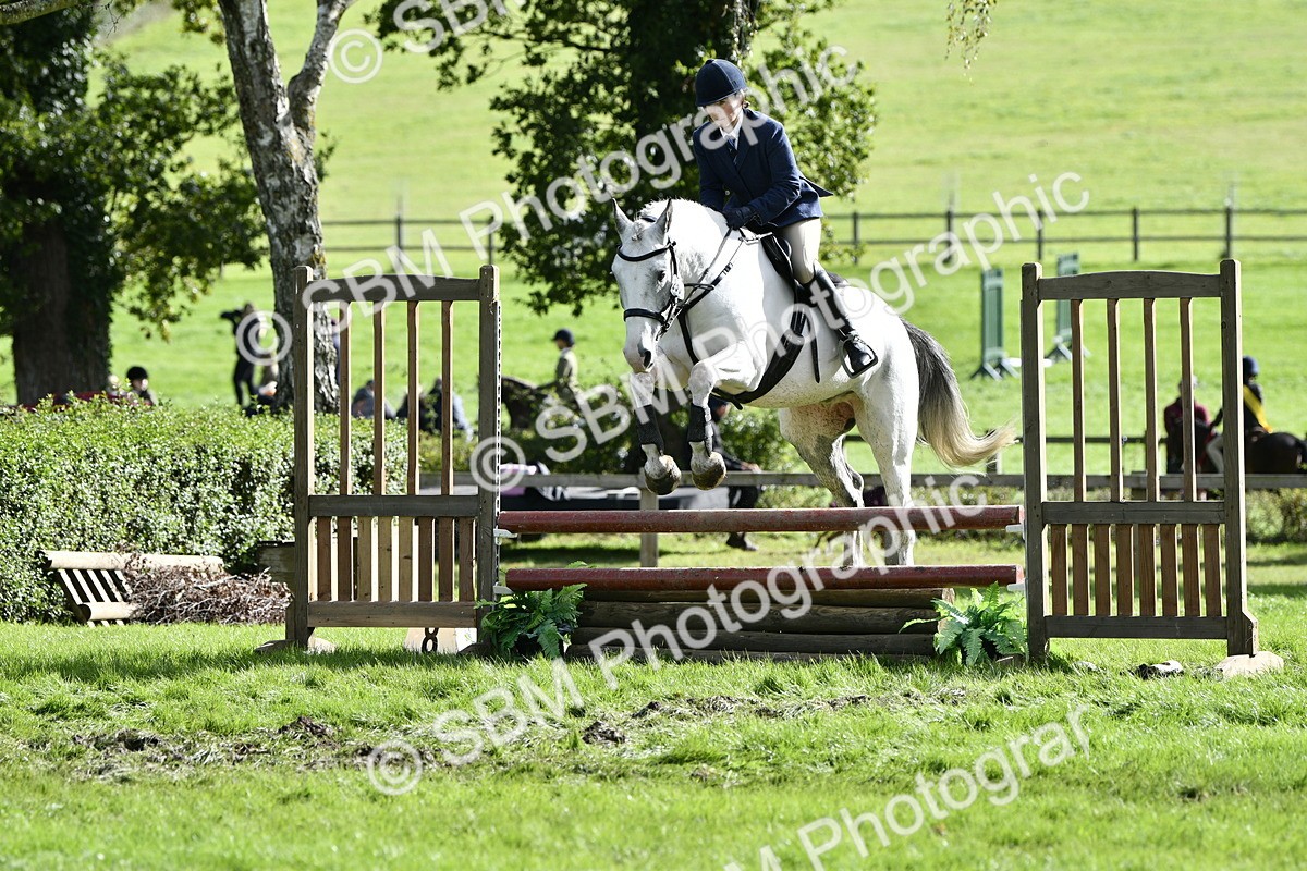 SBM_49972 - S34 - Novice & Newcomers Working Hunter