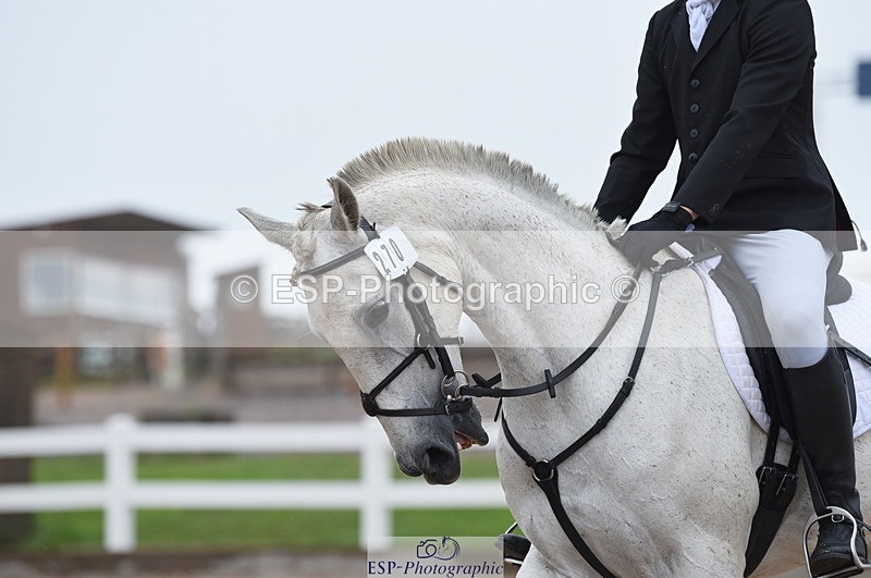 230708A-132558-01909 - Prelim 7