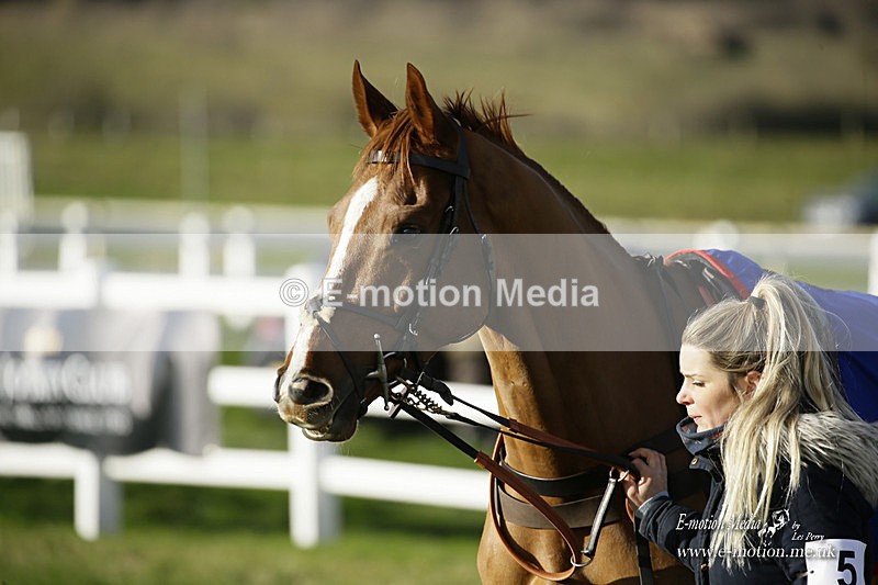 PtP 281121 002 - Hursley Hambledon Point-to-Point Larkhill 28/11/21