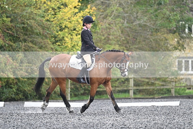 WJ7_3960 - Time 11:04 to 11:38