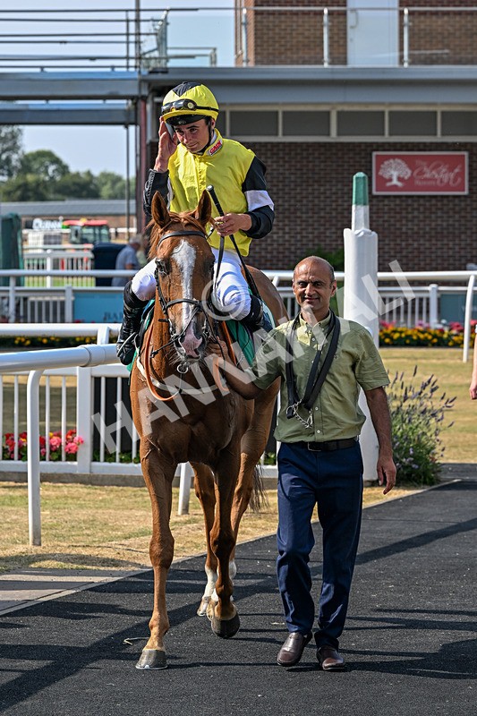 160726-Race 6-Capital Guarantee-5224 - Race 6 16.45pm Thirsk Sky Bet Summer Festival Day Friday 24th July Handicap