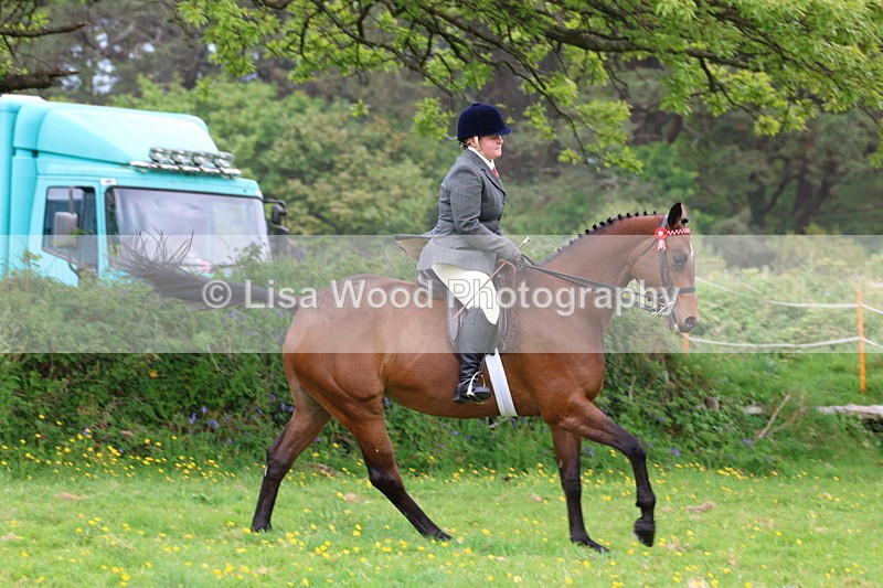 3E7A1770 - Class 9: Riding Club Horse/Pony