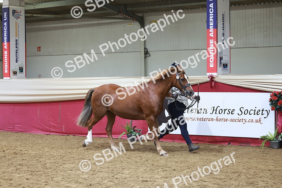 SBM_17431 - Class 951 - M&M IH Supreme Final