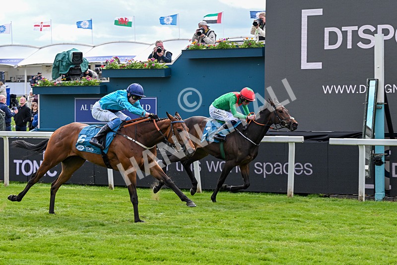 150526-Race 4-Love A Giggle-7758 - Race 4 3.30pm Design Tonic Out Of This World Spaces At The Races EBF Marygate Fillies' Stakes