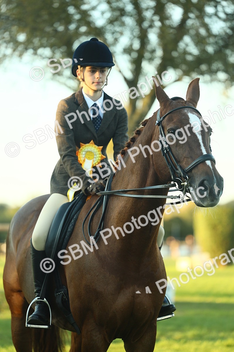 SBM_56563 - S14 - Riding Club Horse