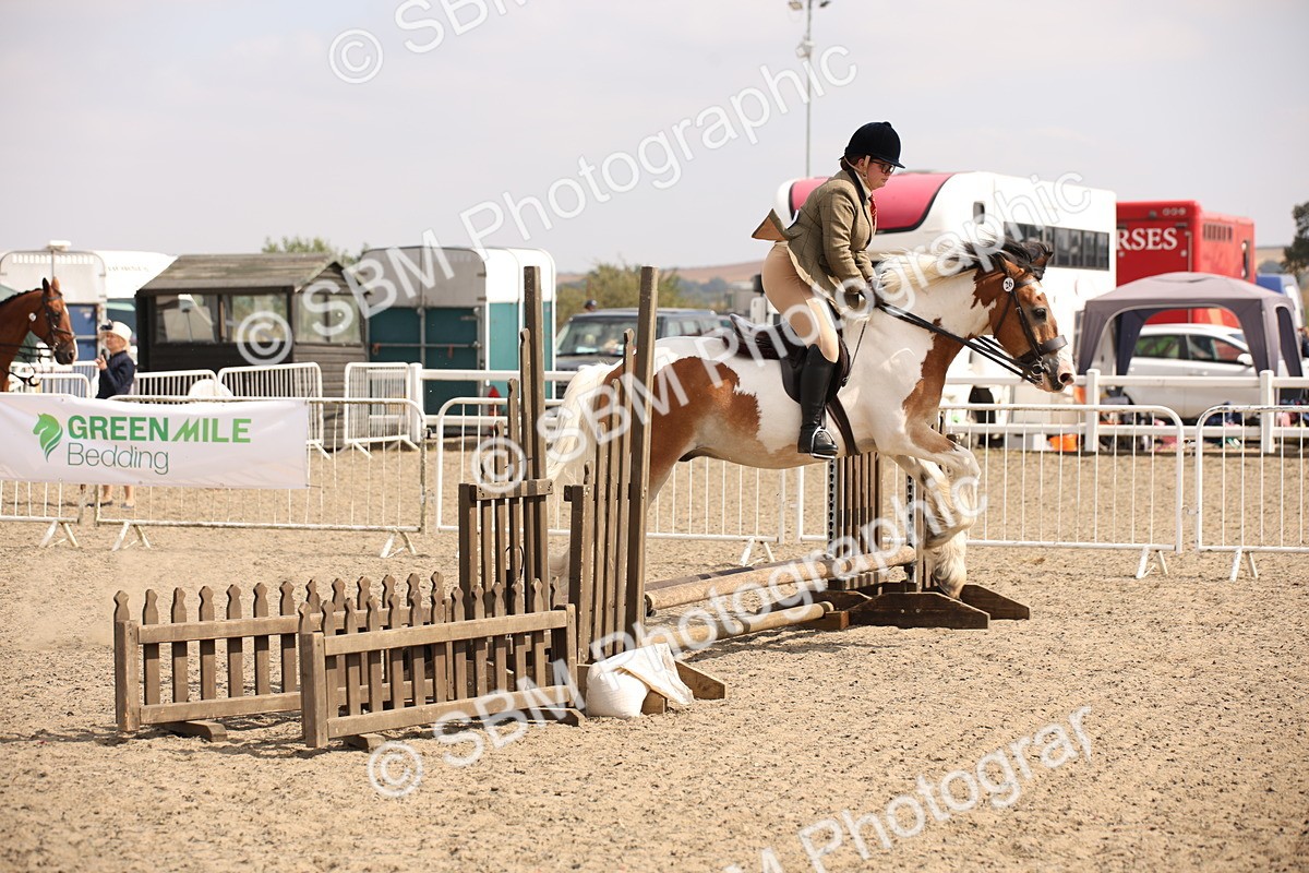 SBM_14282 - Class 407b - Working Veteran 60cm (20+)