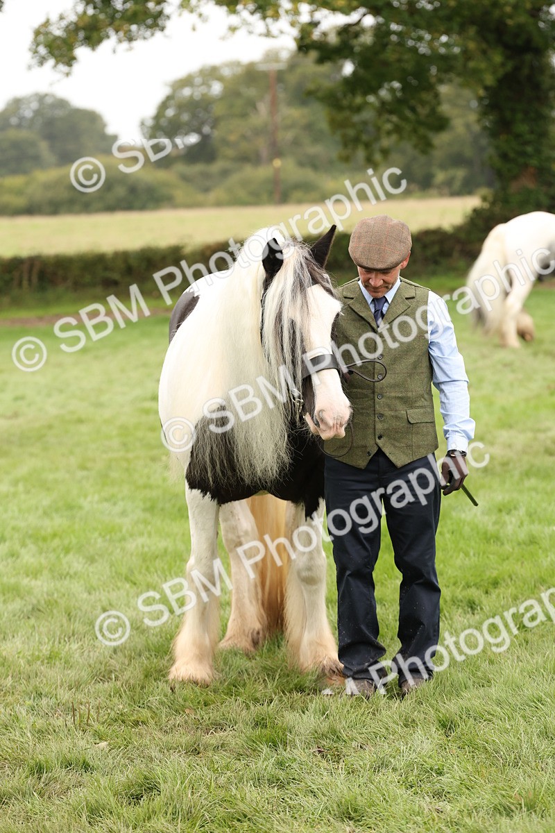 SBM_59355 - S57 - Traditional Cob In Hand