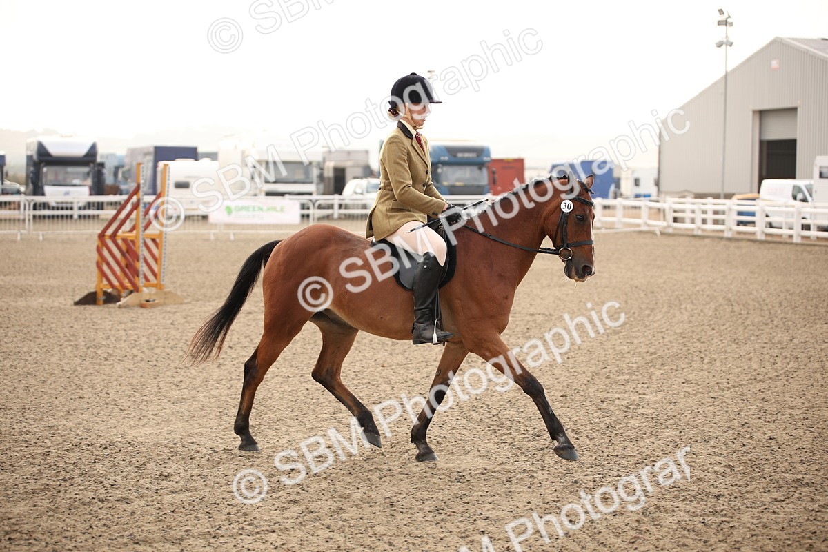 SBM_09784 - Class 401 Riding Club Pony