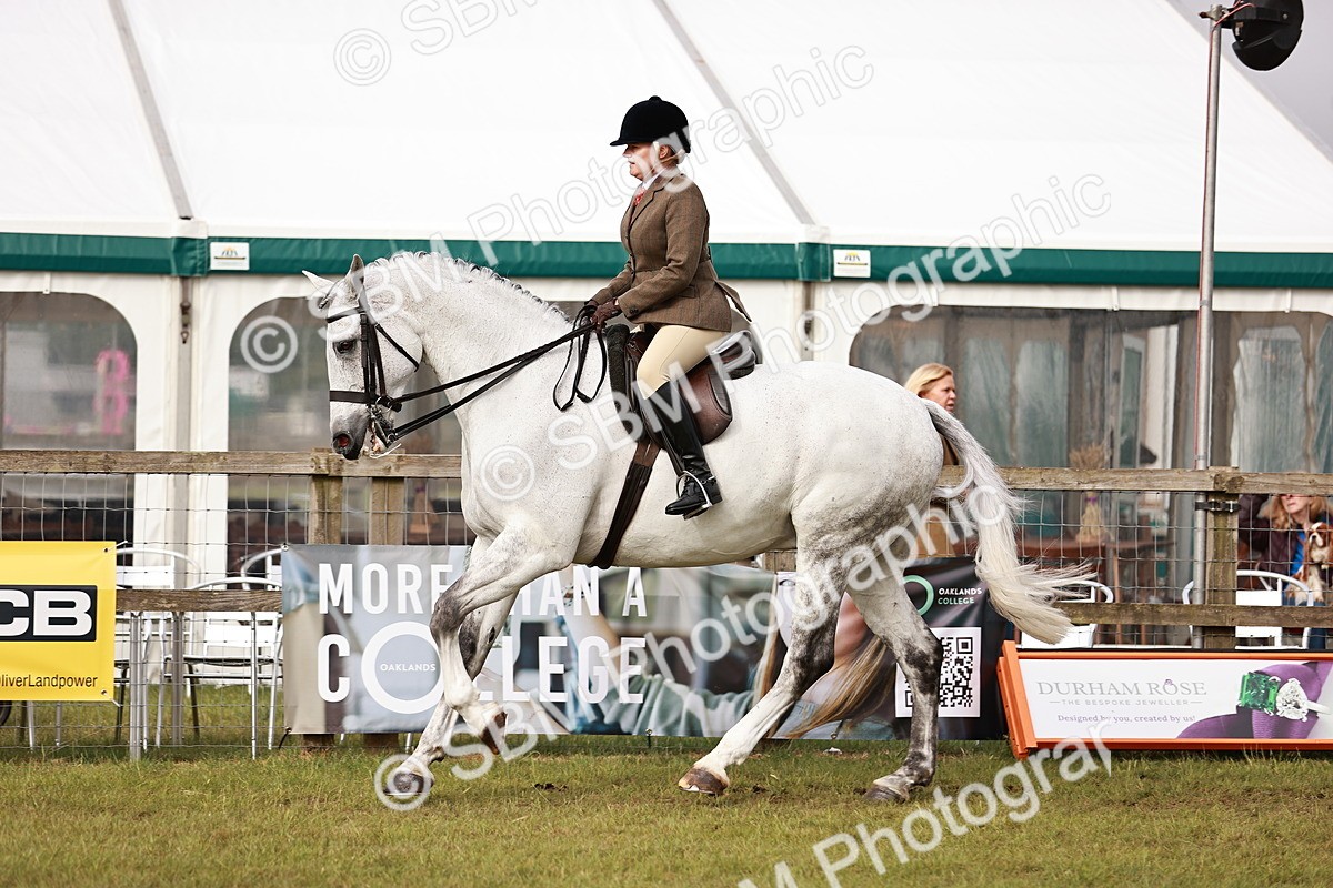 SBM_10866 - Class 81-84 - RIHS Ridden hunters Inc Ladies Hunter