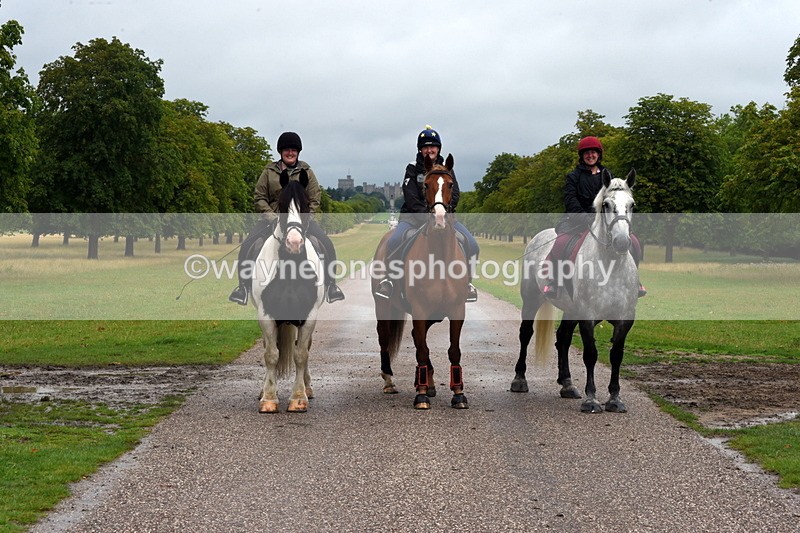 TT3_8763 - Time at Crossing 12:55 to 15:02