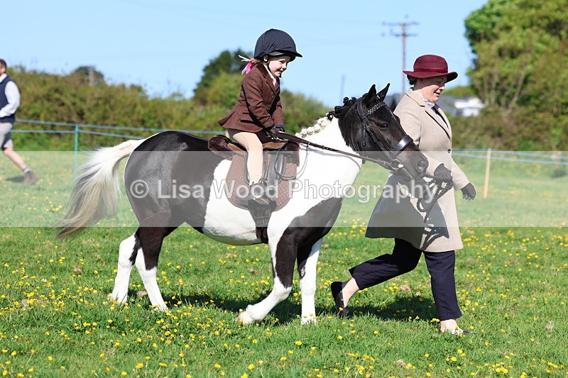 3E7A8864 - Class 2: Lead rein