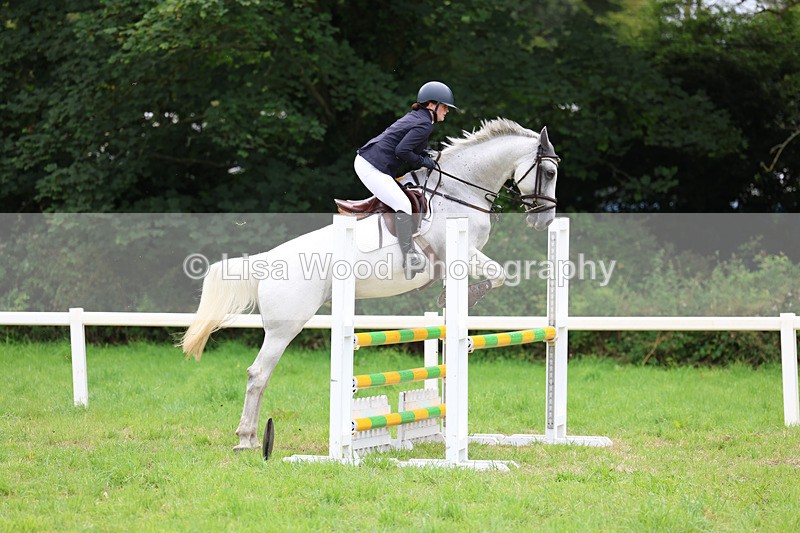 3E7A7068 - Class 5: Senior British Novice/90cm open