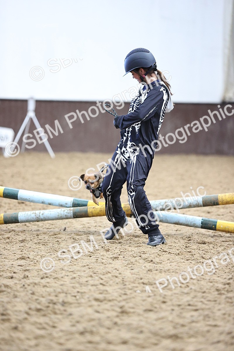 SBM_001589 - Class 3 - Horse & Hound 60cm