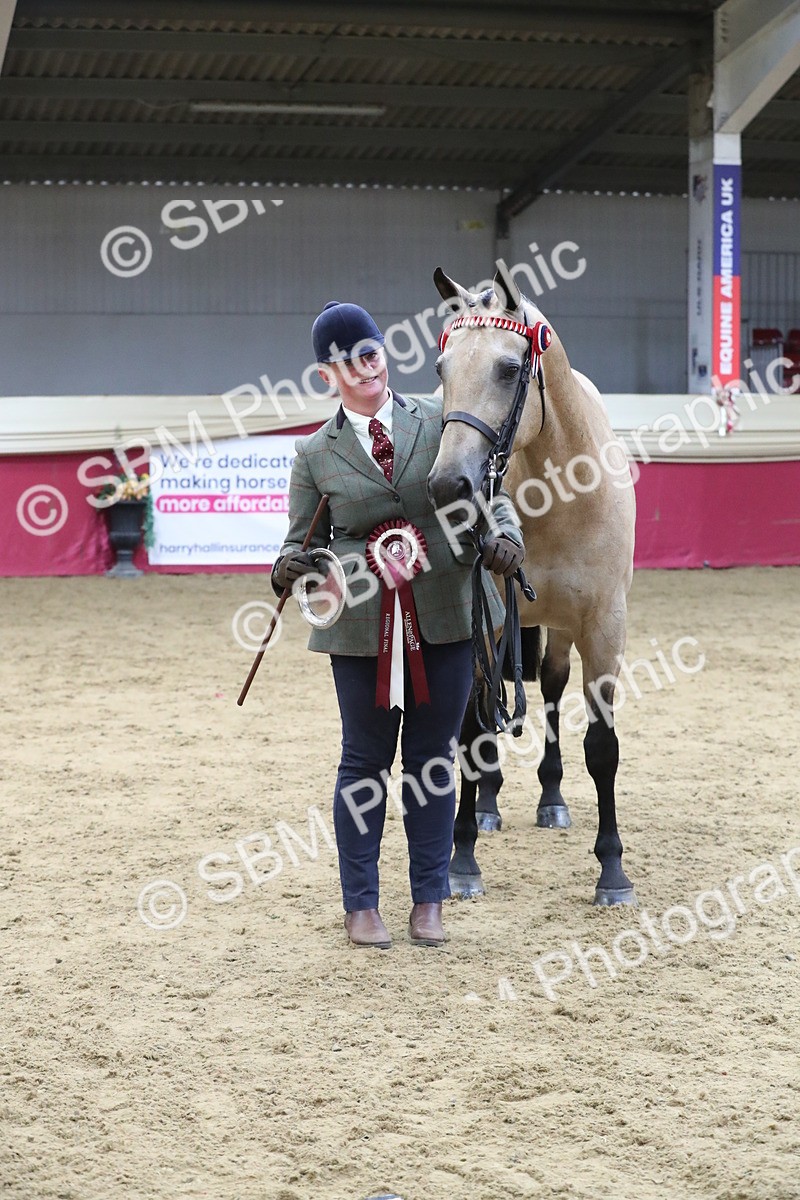 SBM_05044 - Class 8R- Regional -IH Veteran