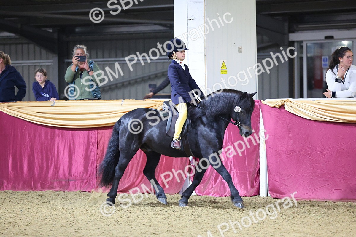 0B8A4664 - Class R Working Veteran Champ