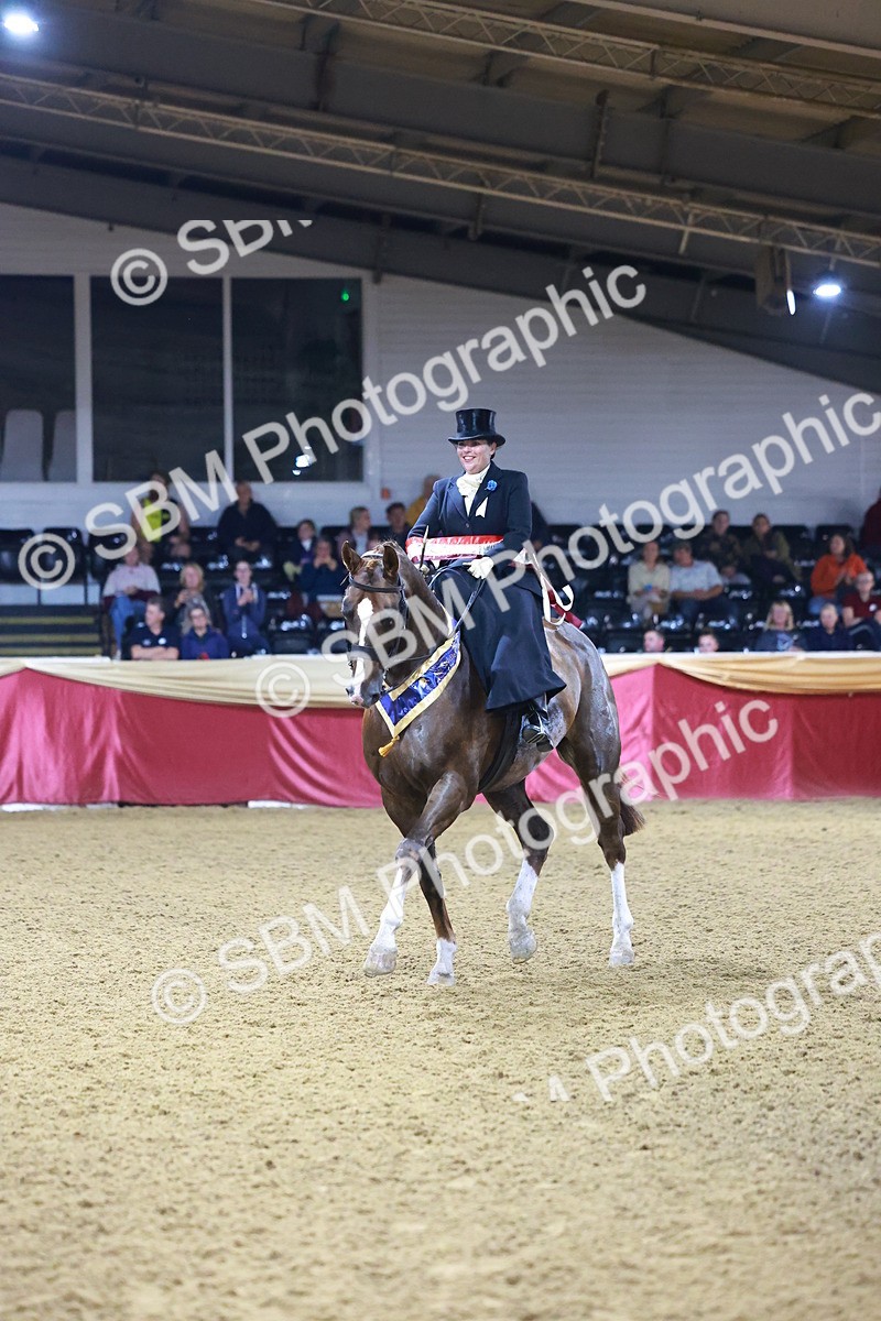 SBM_15051 - Class N - Side Saddle Champ