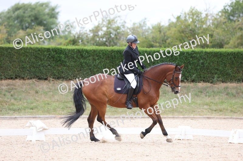 20250705-0652 - Class 7 - Elimentary 1