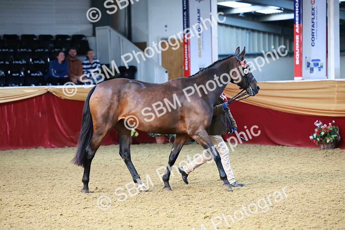 SBM_21746 - Class 901 - Supreme Final - IH  Diamond