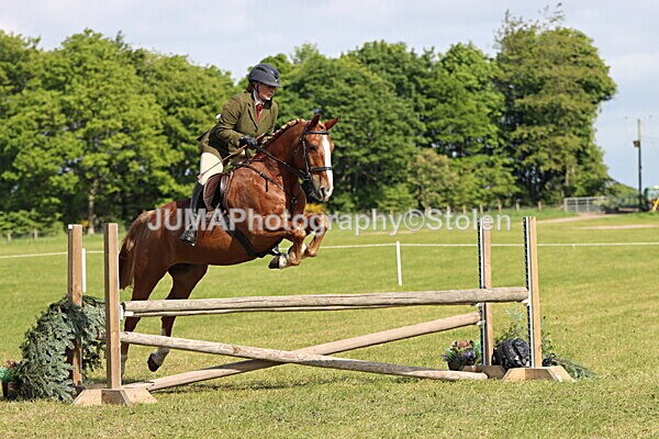 IMG_4875 - Working Hunter