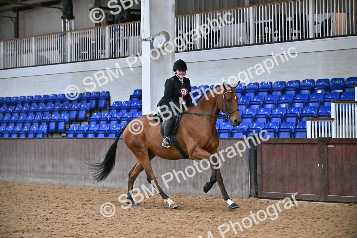 SBM_003073 - Class 37,38 - UKPSAF Performance Horse & Pony
