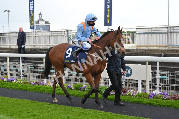 yr22052021r4-16 - Race 4 3.50pm WilliamHill.com Best Odds Guaranteed Stakes