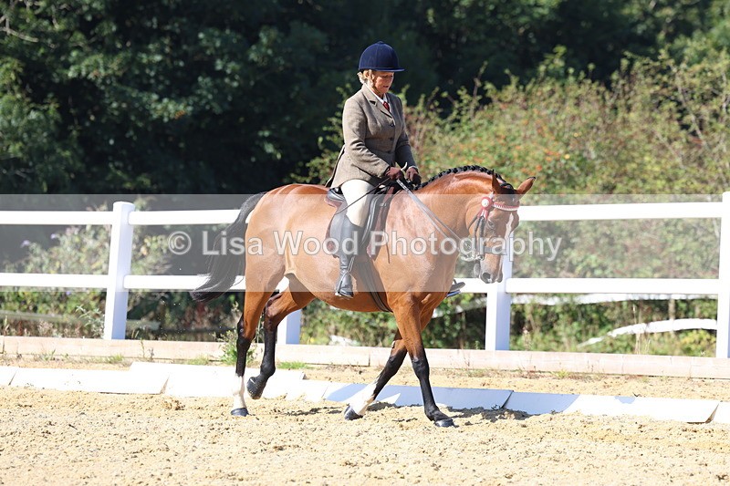 3E7A5706 - Class 10: Riding Horse
