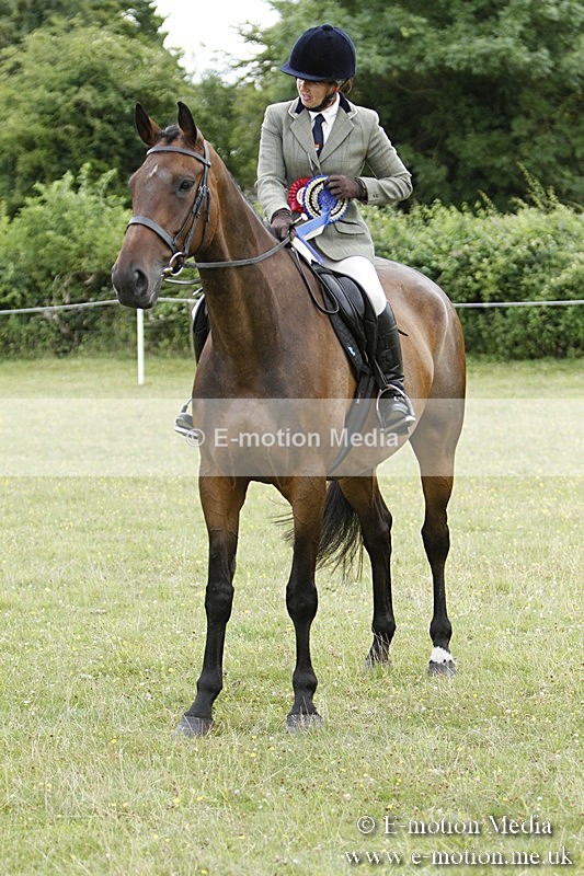 BVR160717-2318 - Working Hunter Championship 16/07/17